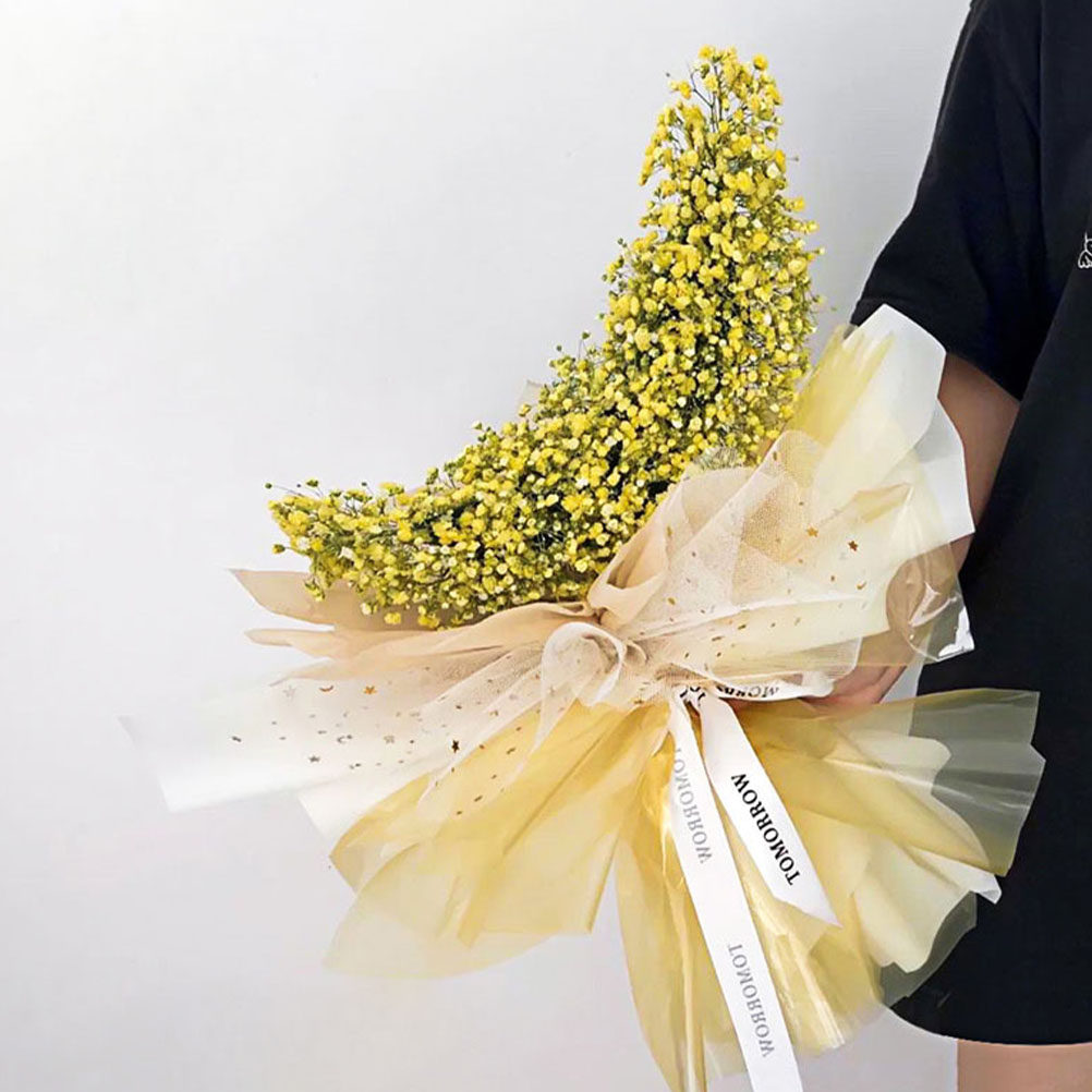 Eco Sponge - 2 Adet Ay Şeklinde, Çevre Dostu,